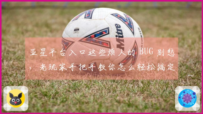 亚星平台入口这些烦人的 BUG 别愁，老玩家手把手教你怎么轻松搞定！