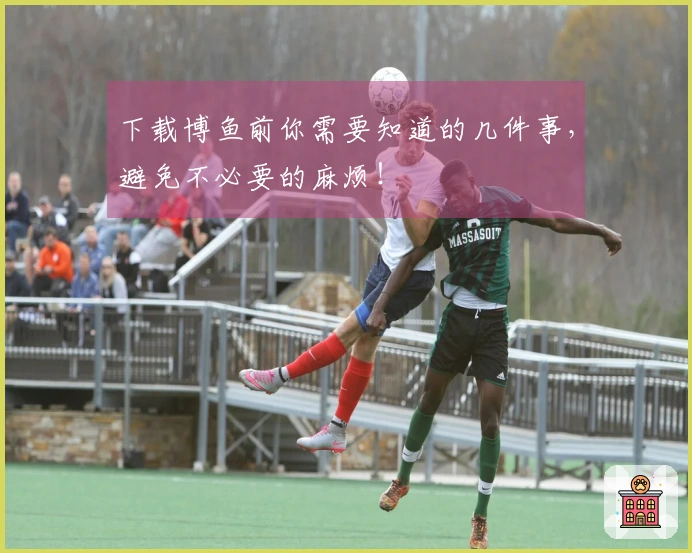 下载博鱼前你需要知道的几件事，避免不必要的麻烦！